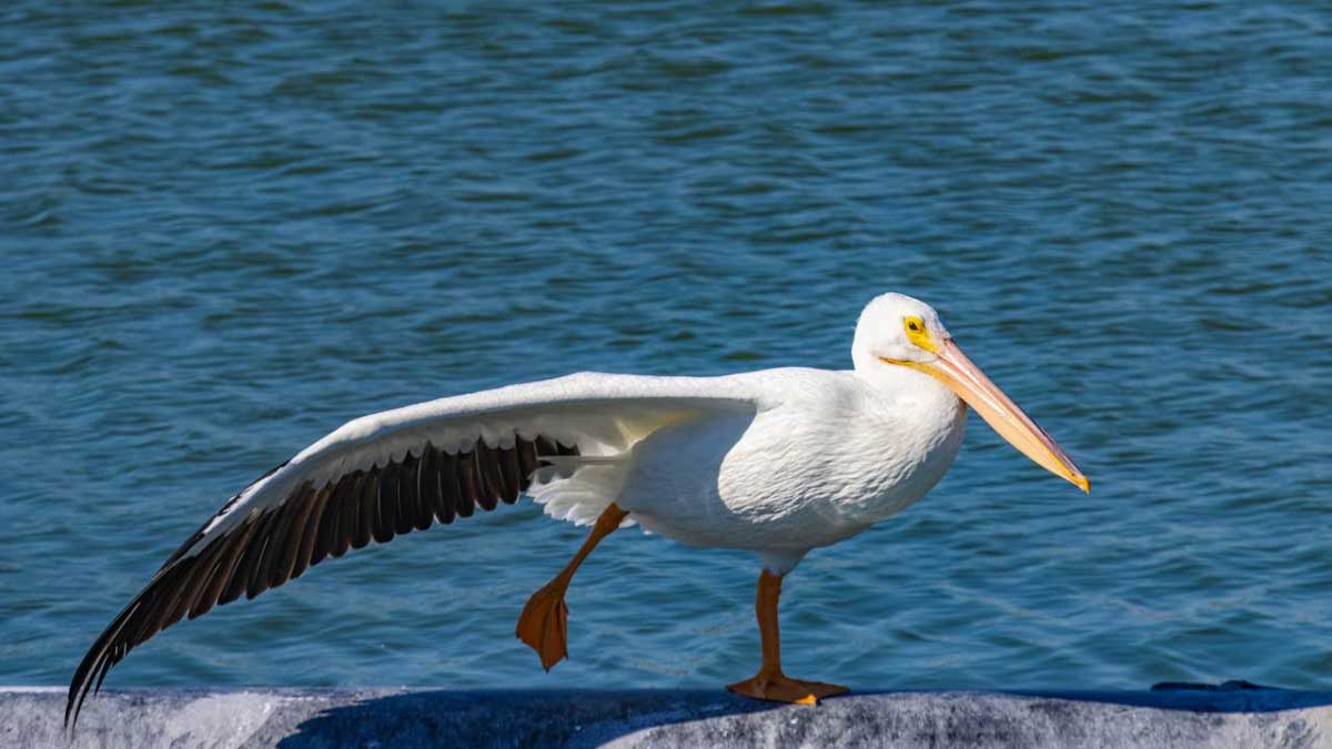 Dem Gleichgewicht vertrauen