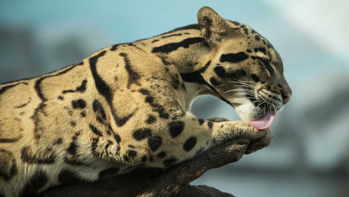 Durchatmen für Schultern & Nacken