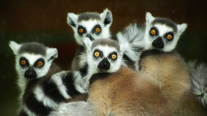 Augen bewegen – den ganzen Körper entlasten