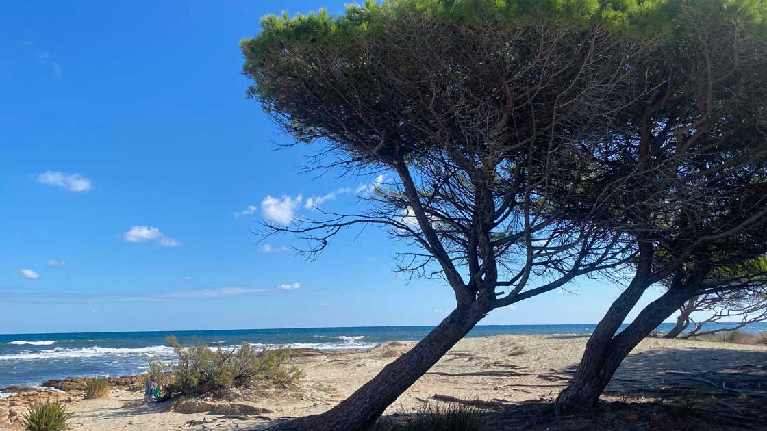 Workshop Vagusnerv und Selbstregulation mit Feldenkrais