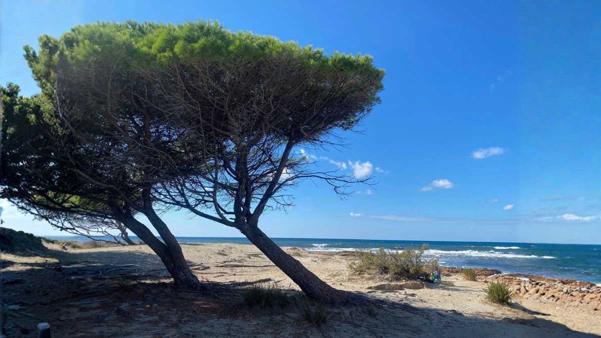 Vagusnerv & Selbstregulation – ein praktischer Zugang