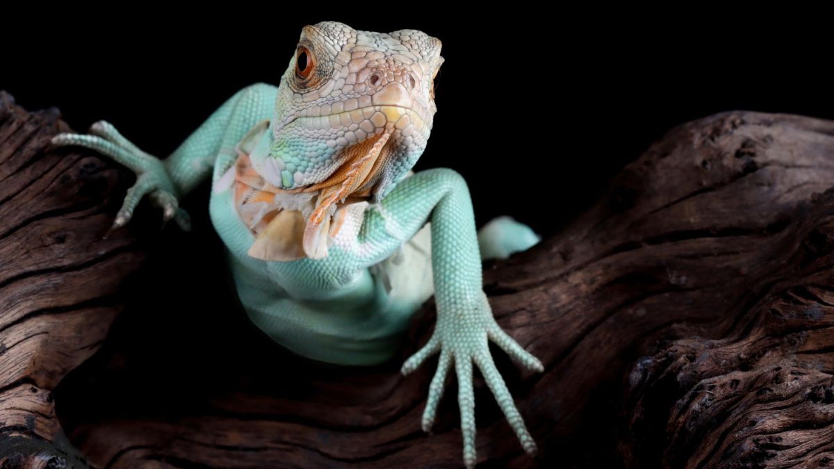 „Kraft vom Boden bis in die Fingerspitzen –