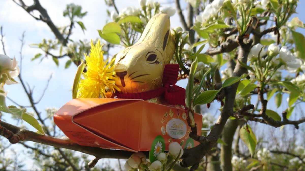 Gleichgewicht – Stürzen & Stolpern vorbeugen