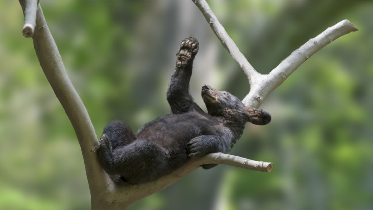 Gleichgewicht – Stürzen & Stolpern vorbeugen